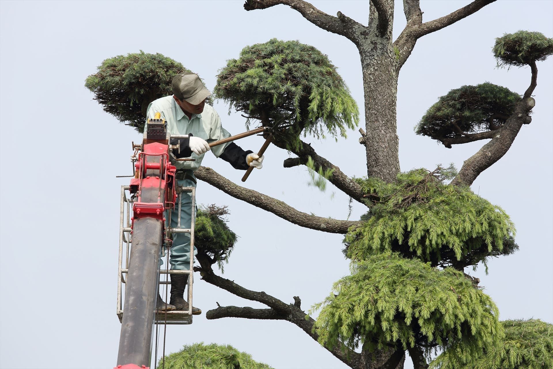 高所で作業するスタッフ