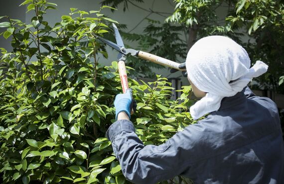 小平市で美しい庭園の美観を保つサポート役に庭施工専門会社を| 東京で優れた技術力を高く評価されている山岸造園