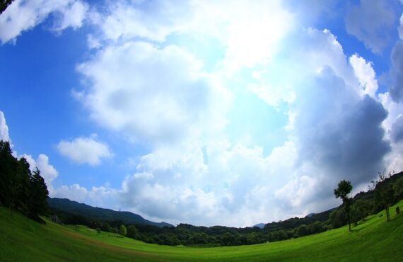 狛江市で芝の張替えから芝地の管理を年間を通して行うなら山岸造園までお問い合わせください